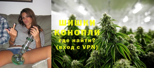 молекула духа Осинники