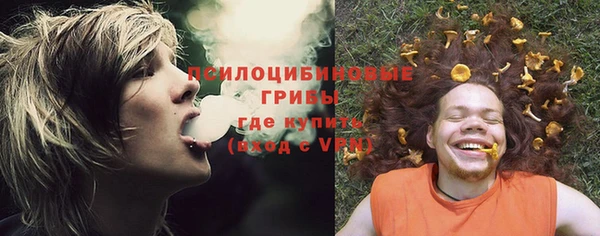 амф Абинск
