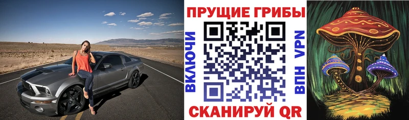 купить  сайты  Питкяранта  Псилоцибиновые грибы GOLDEN TEACHER 